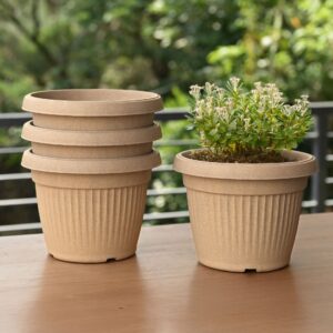 Planters Main Img page 2 2