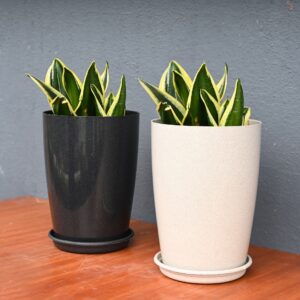 Sleek Planter