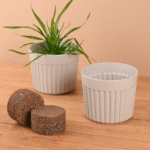 Romano 6" with growmix