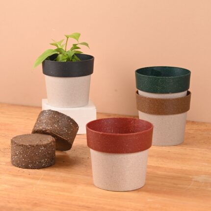 Earth Friendly Ecopod 4 inch Small pots for Indoor Plants with 2 Growmix | Pack of 4 | Made with Bamboo Fibers | Table Top Planters for Home Decor and Office, Flower Pot for Living Room
