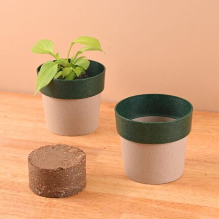 Earth Friendly Ecopod 4 inch Small pots for Indoor Plants with 1 Growmix | Pack of 2 | Made with Bamboo Fibers | Table Top Planters for Home Decor and Office, Flower Pot for Living Room