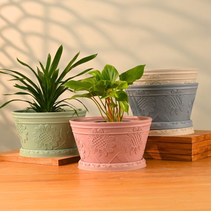 Nile Planter 1920x1920 1