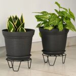 Aurra with black stand