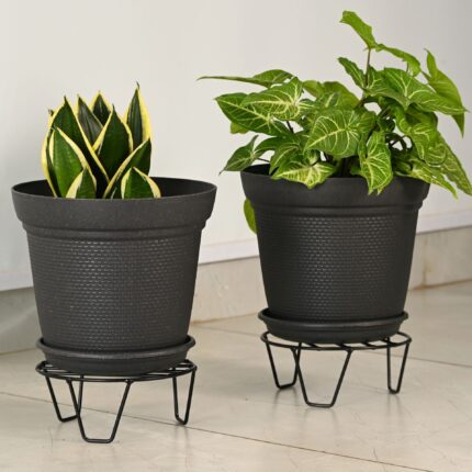 Aurra with black stand