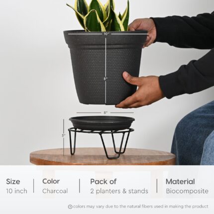 Aurra with black stand