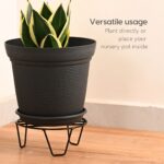 Aurra with black stand