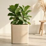 Earth-Friendly Portico Pots for Home Big Size | 15 inch | Pack of 1 | Made with Rice Husk Biocomposite | UV Protected