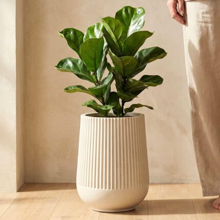 Opera Planter