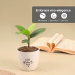 Earth-Friendly Valentine Gifts for Couple | Love Gift Set of 2 | 200 ml | Gift for Girlfriend and Boyfriend | Made with Rice Husk and Coffee Husk Biocompoiste - Image 6